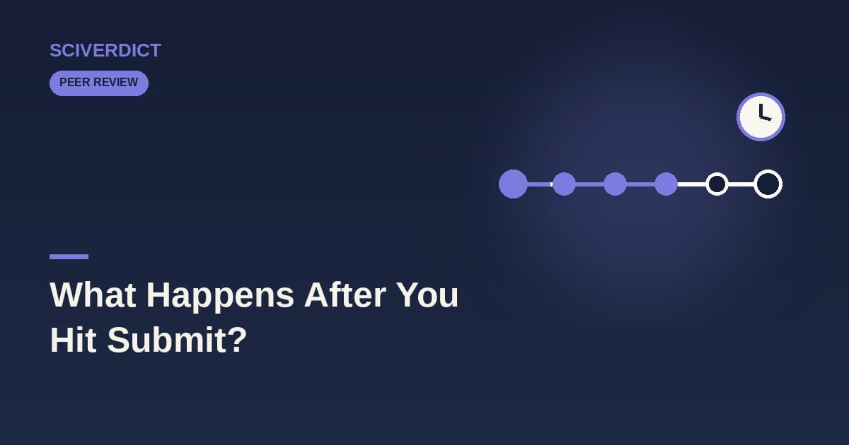 What Happens After You Hit Submit? A Realistic Timeline